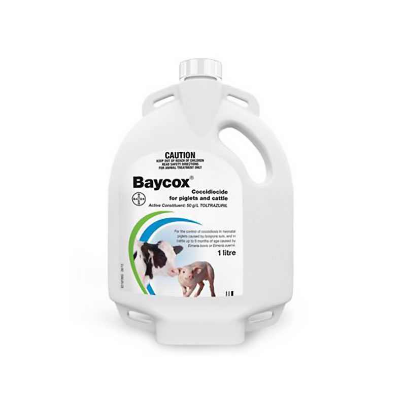 Baycox Coccidiocide for Piglets and Cattle 1L 1