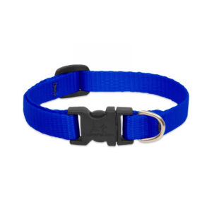 Lupine Blue Small Dog Collar 8-12"