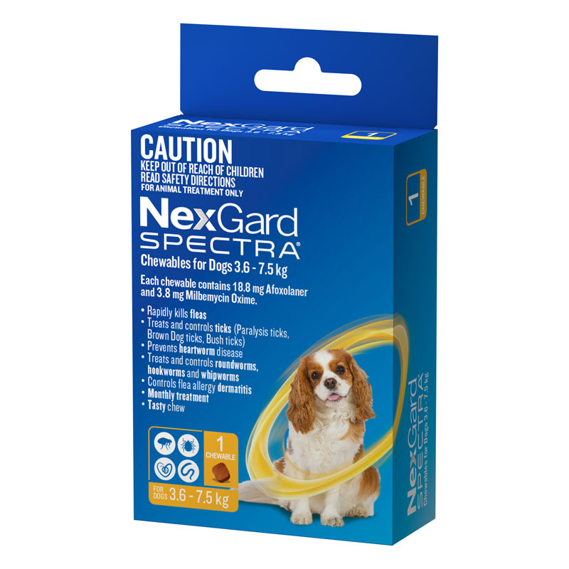 nexgard for small dogs