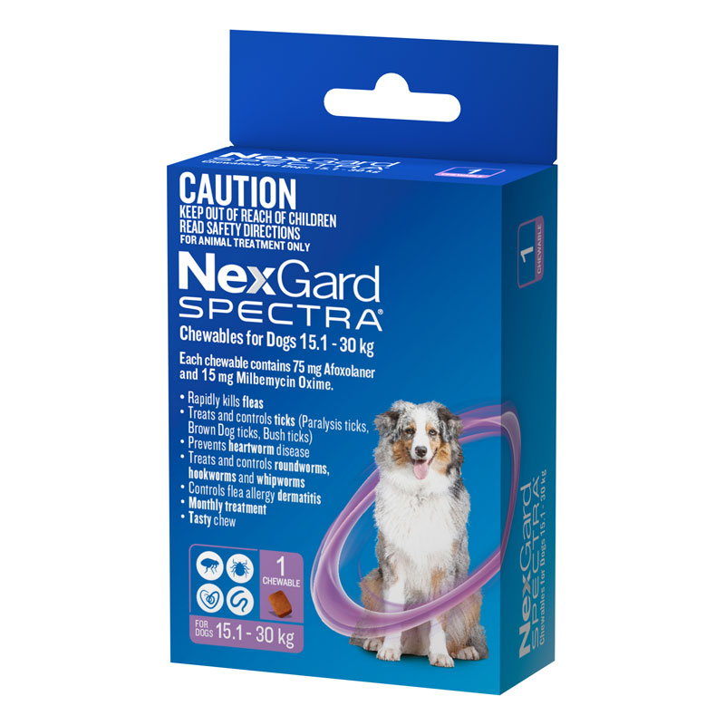 nexgard purple for dogs