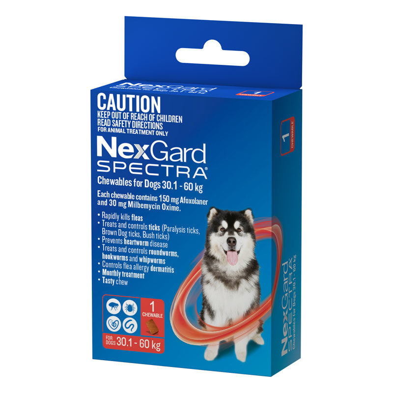 nexgard spectra chews for dogs