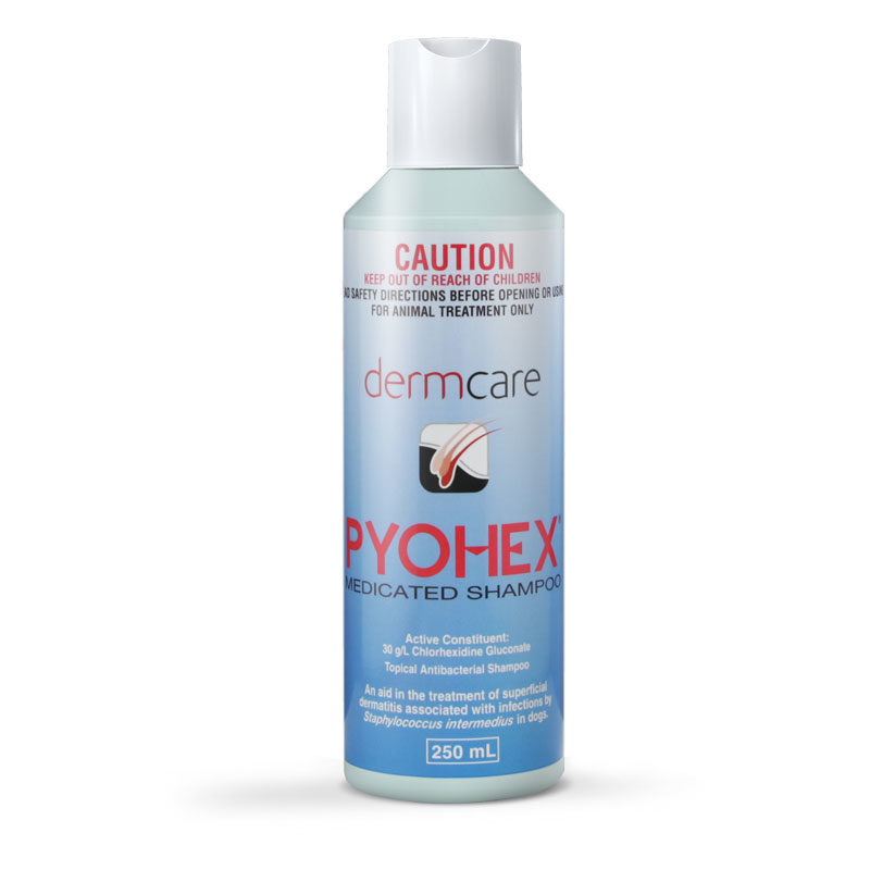 Pyohex Medicated Shampoo 250ml 1